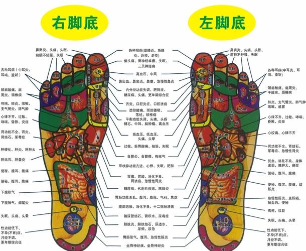 脚气穴位图