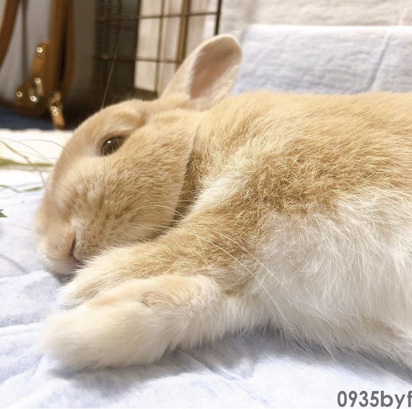 脚气有哪几种类型(图1) 脚气有哪几种类型