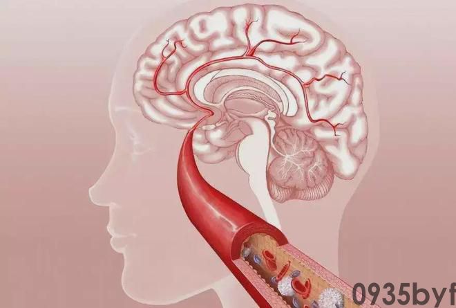 奇异的一味药除百病的神药——松针(图3)