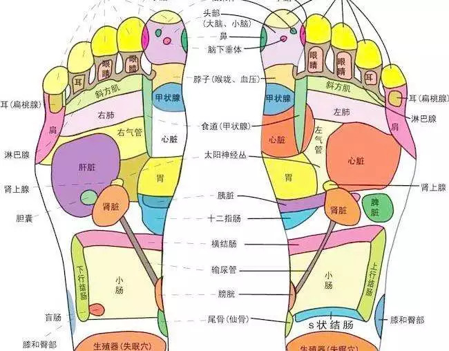 足部按摩去味技巧(图1) 足部按摩去味技巧