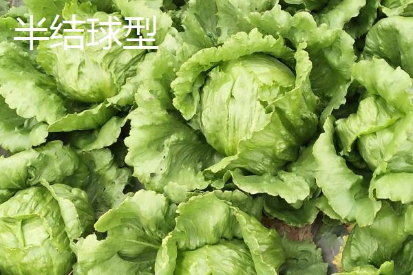 【健康问答】关于脚气传染性的常见疑问(图1) 【健康问答】关于脚气传染性的常见疑问