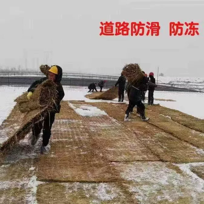 糜烂型脚气日常长期维稳方法