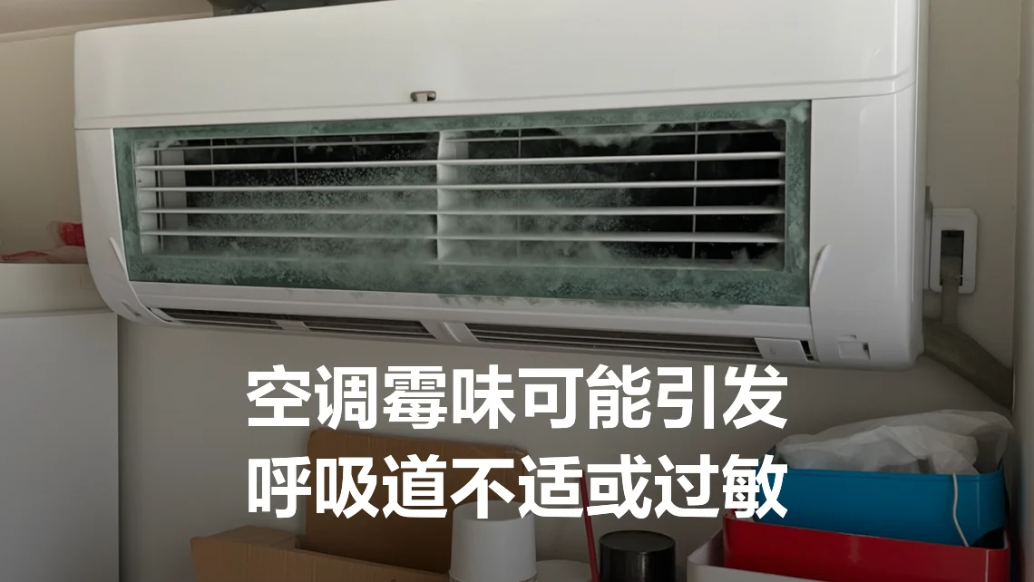 脚部异味空调房闷捂积味