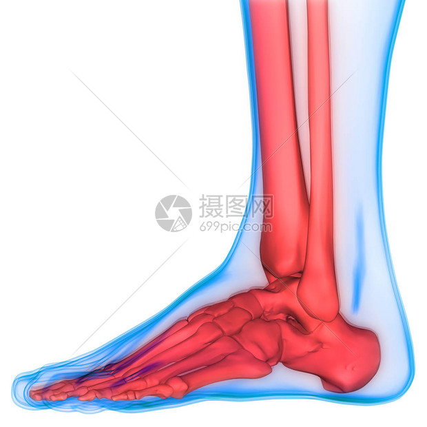 脚部红斑伴随脱皮治疗(图1) 脚部红斑伴随脱皮治疗