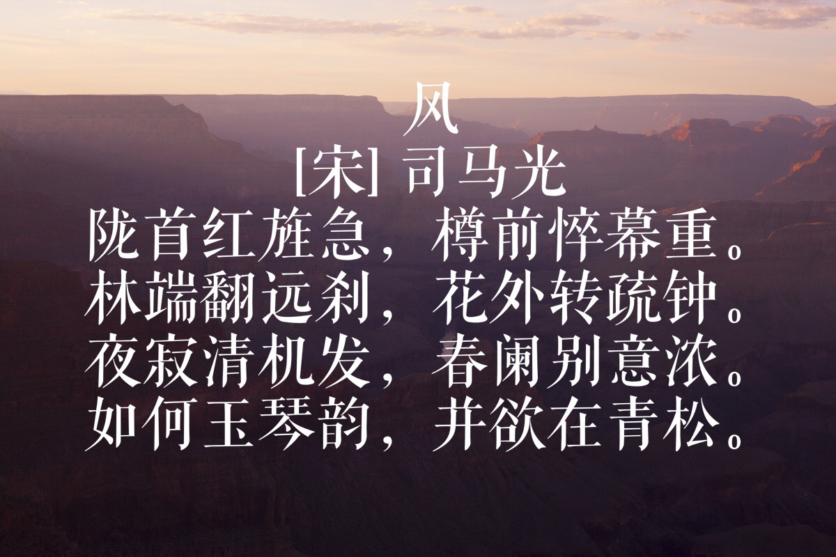 重症红斑联合治疗